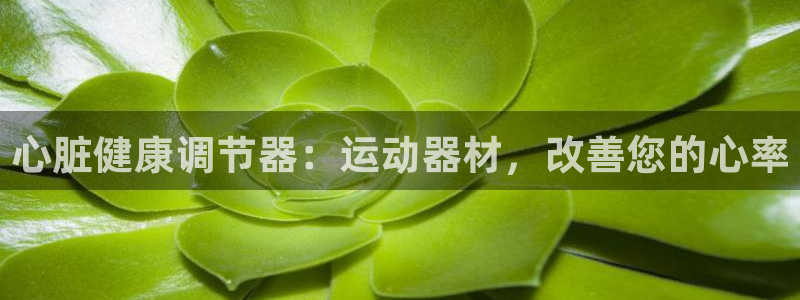 意昂3五金厂：心脏健康调节器：运动器材，改善您的心率