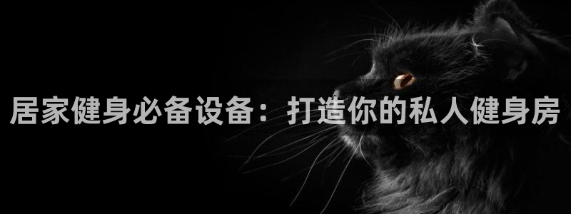 意昂3新能源：居家健身必备设备：打造你的私人健身房
