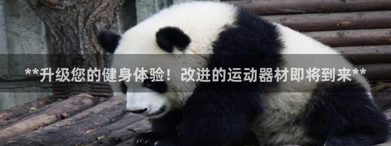 意昂体育3招商电话是多少：**升级您的健身体验！改进