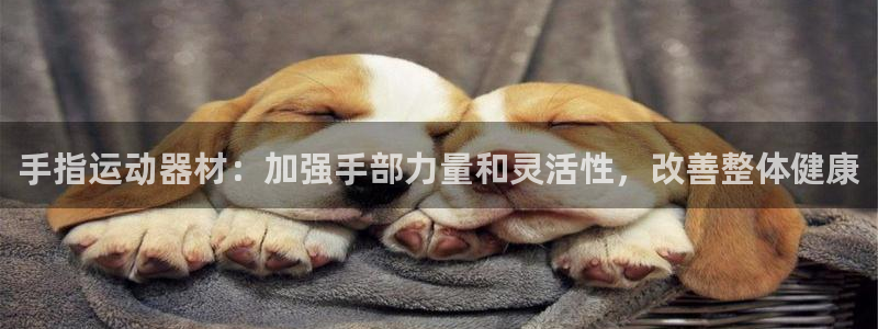 意昂体育3注册：手指运动器材：加强手部力量和灵活性，