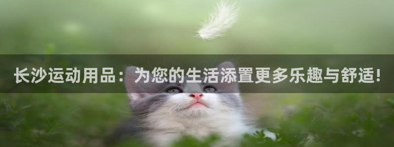 意昂集团官网