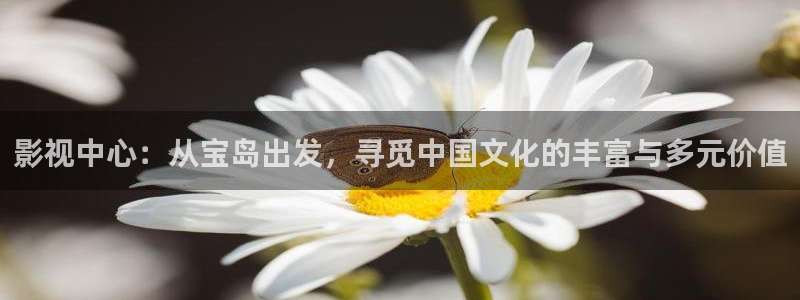 4k影院网站：影视中心：从宝岛出发，寻觅中国文化的丰富与多元价值