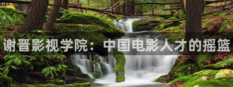 4k影院app下载：谢晋影视学院：中国电影人才的摇篮
