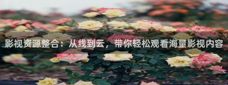 4k影院免费观看：影视资源整合：从线到云，带你轻松观看海量影视内容