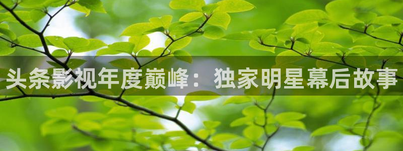 4k影院手机版：头条影视年度巅峰：独家明星幕后故事