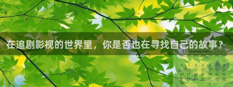神马影院我不卡4k影院：在追剧影视的世界里，你是否也在寻找自己的故事？