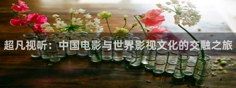 4k影院官网：超凡视听：中国电影与世界影视文化的交融之旅
