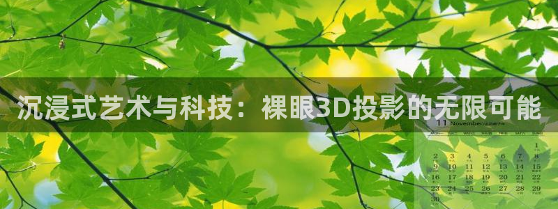 高清4k影院在线：沉浸式艺术与科技：裸眼3D投影的无限可能