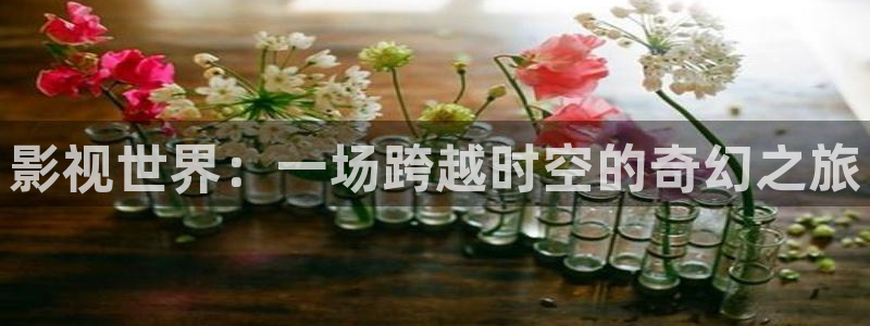 4k影院导航：影视世界：一场跨越时空的奇幻之旅