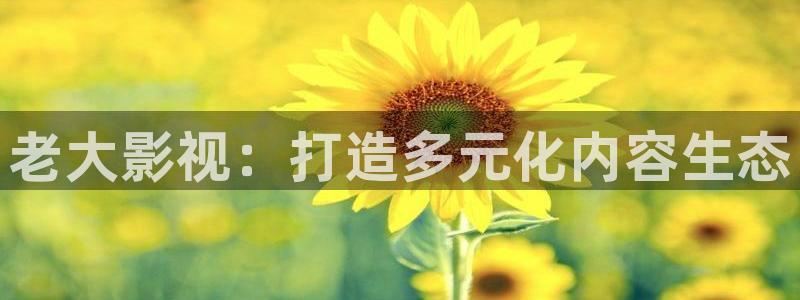 4k影视片源：老大影视：打造多元化内容生态
